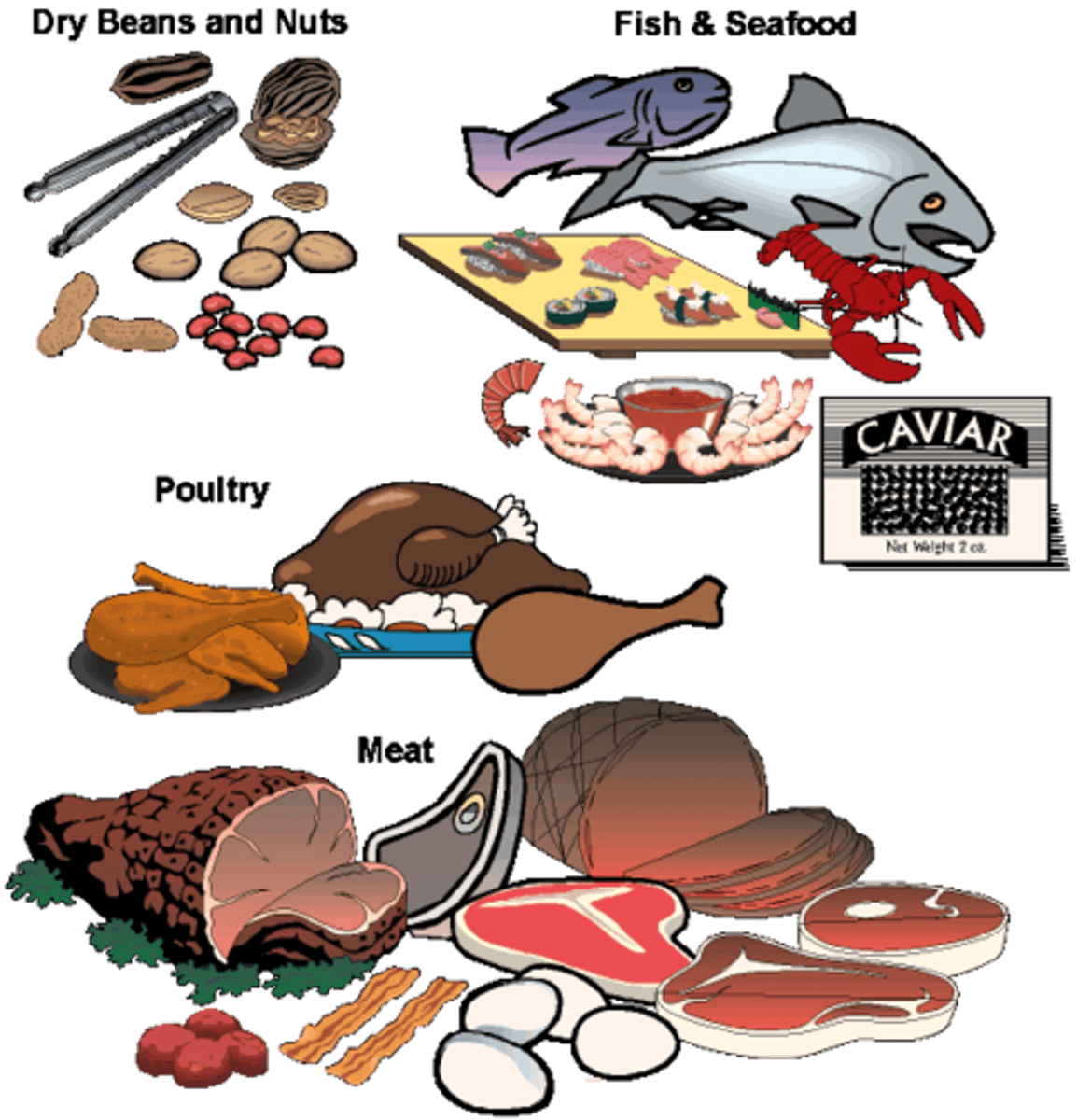<p>protein</p>