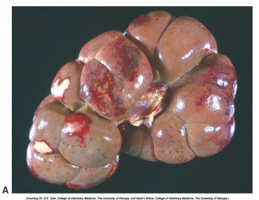 <p>What is this?</p>