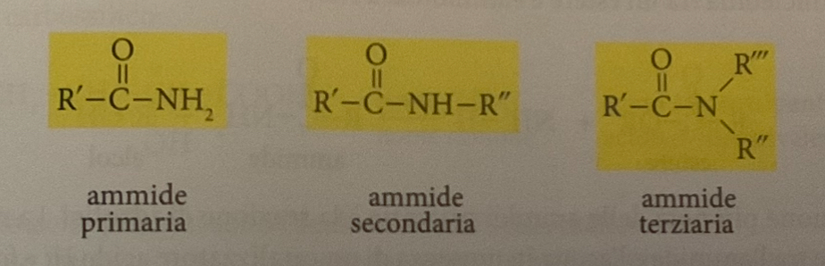 <p>esistono le ammidi:</p><p>1 primarie, che hanno come gruppo funzionale NH2</p><p>2 secondarie, che hanno come gruppo funzionale NHR</p><p>3 terziarie, che hanno come gruppo funzionale NR2</p>