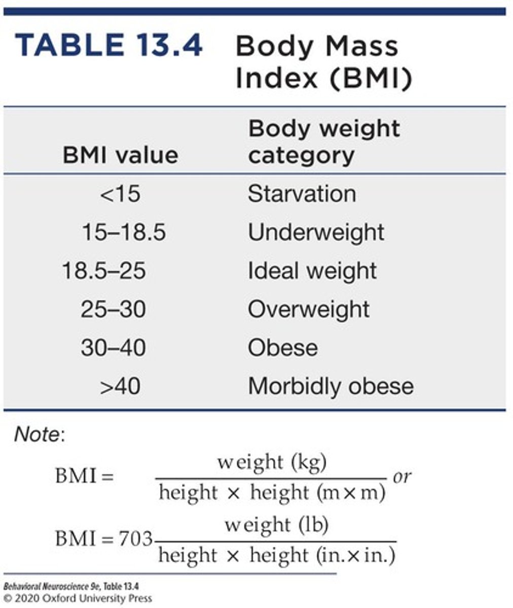<p>Obesity is often defined based on body mass index (BMI) and is considered an epidemic in the United States.</p>