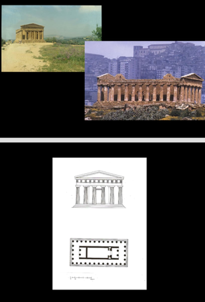term image