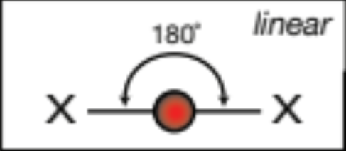 <p>linear, 180 degrees</p>