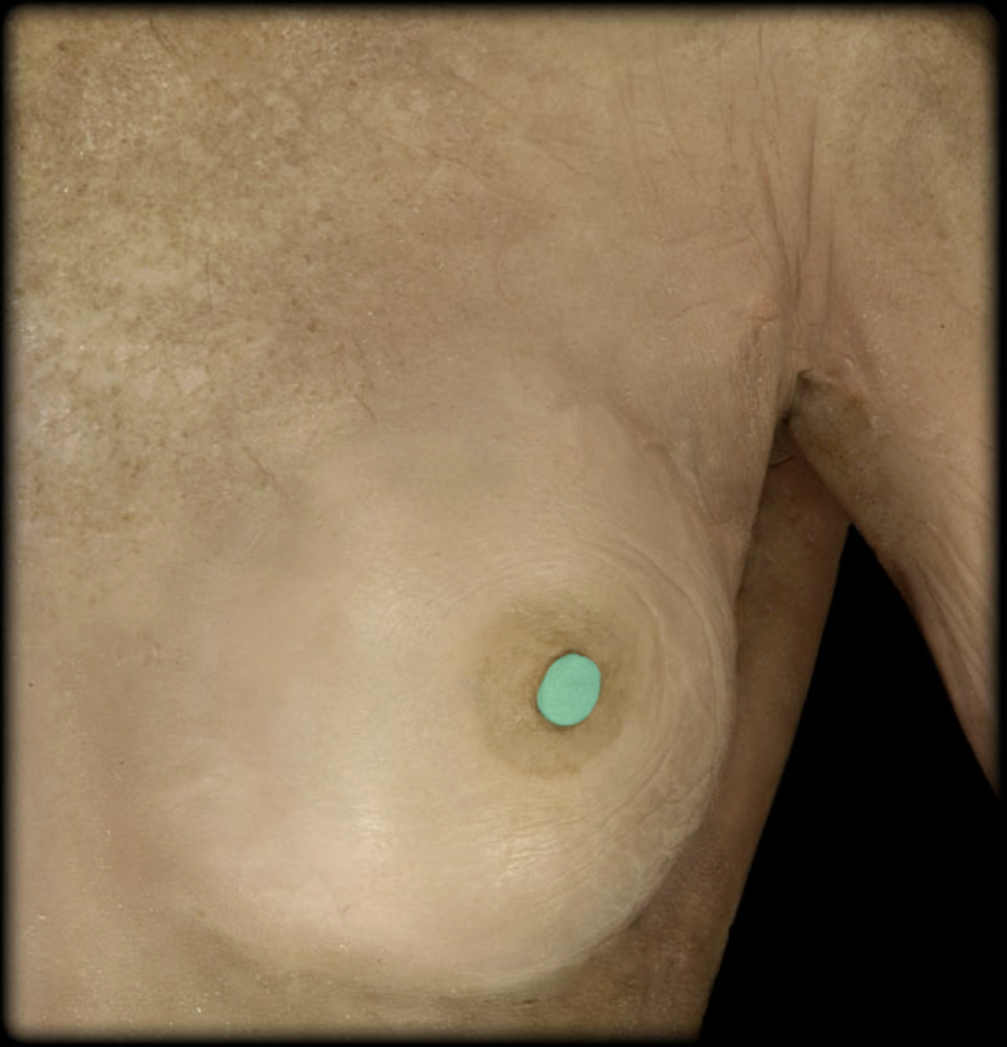 <p>What structure is shown?</p>