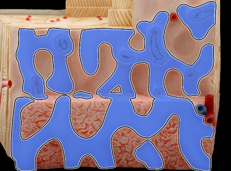 knowt flashcard image