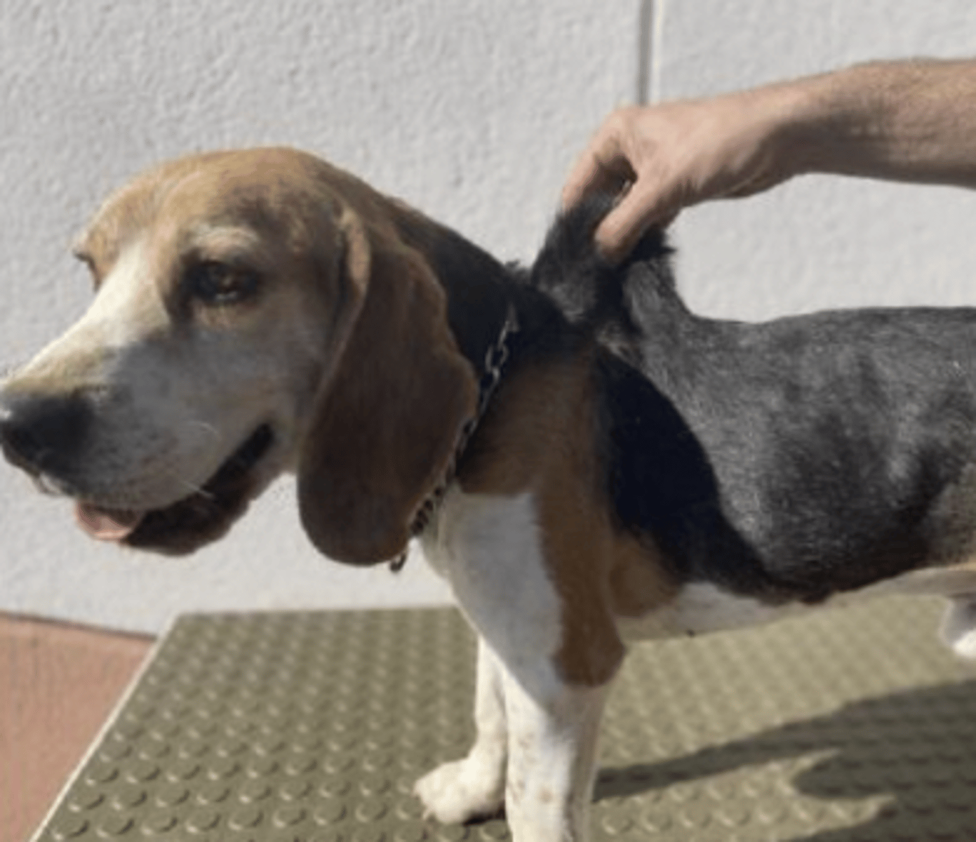 <p>what is happenning here ?</p>