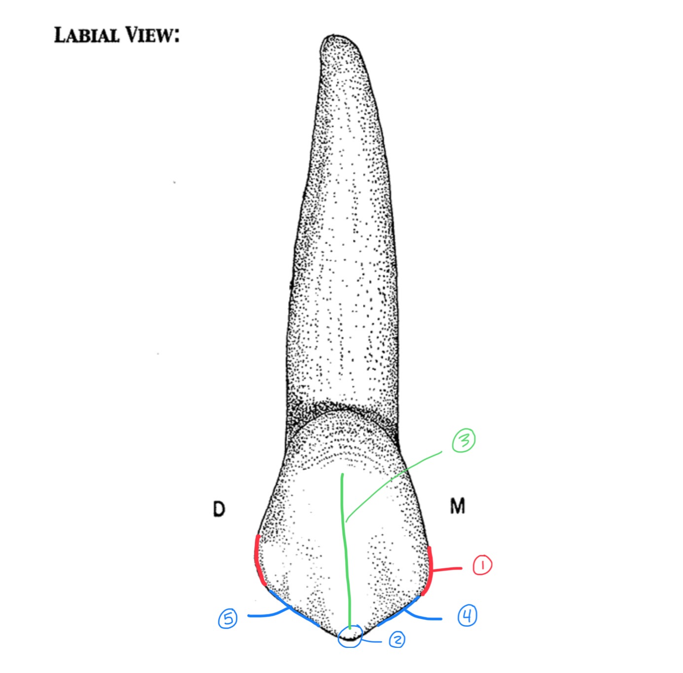 <p>Name #4</p>