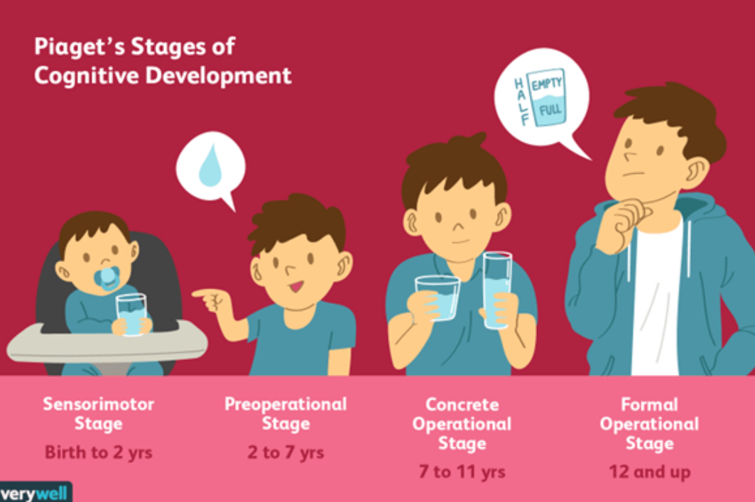 <p>Piaget: Stages of Cognitive Development</p>