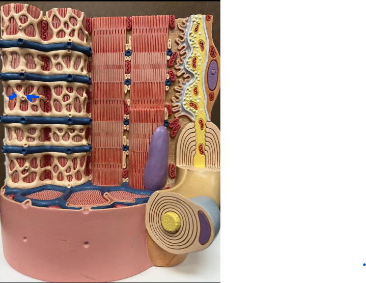 <p>What is this?</p>