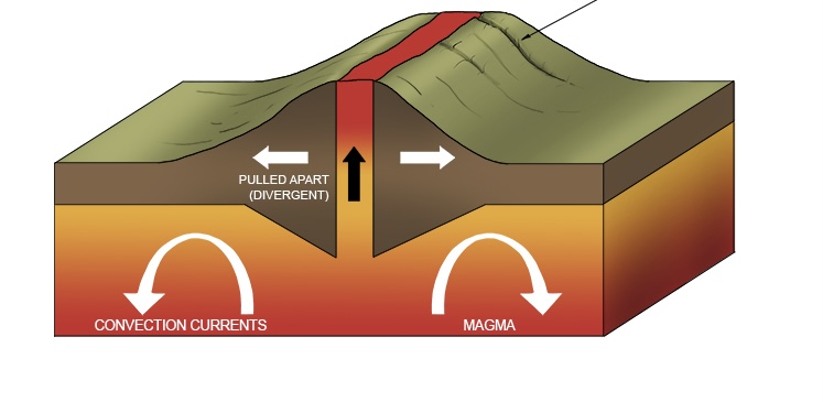 <p>What is this plate boundary?</p>