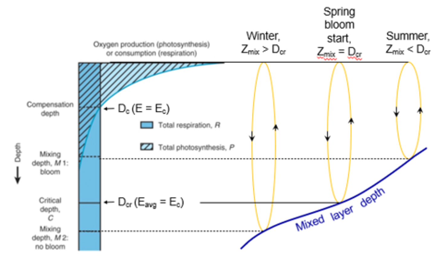 <p>What occurs in the spring?</p>