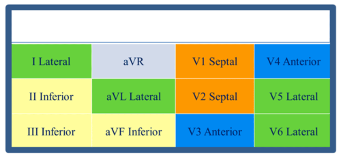 <p>II, III, aVF</p><p>Right coronary and/or left circumflex artery</p>