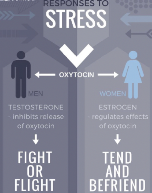 * Women may respond differently in stressful situations than men 
  * Tend and befriend response 
  * Oxytocin
* Men usually go for a fight or flight response 