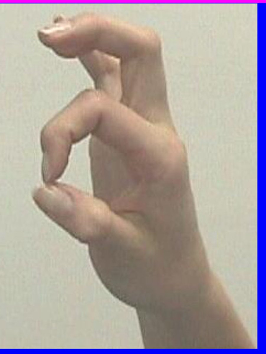 <p>Seated</p><p>Pinches tips of index finger to the tip of the thumb</p><p>Paper between, resist allowing the paper to be pulled out</p>