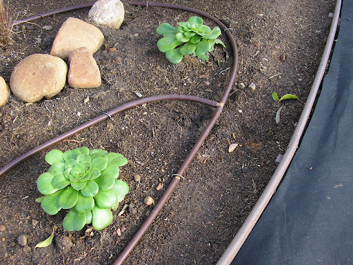 <p>Name this irrigation component</p>