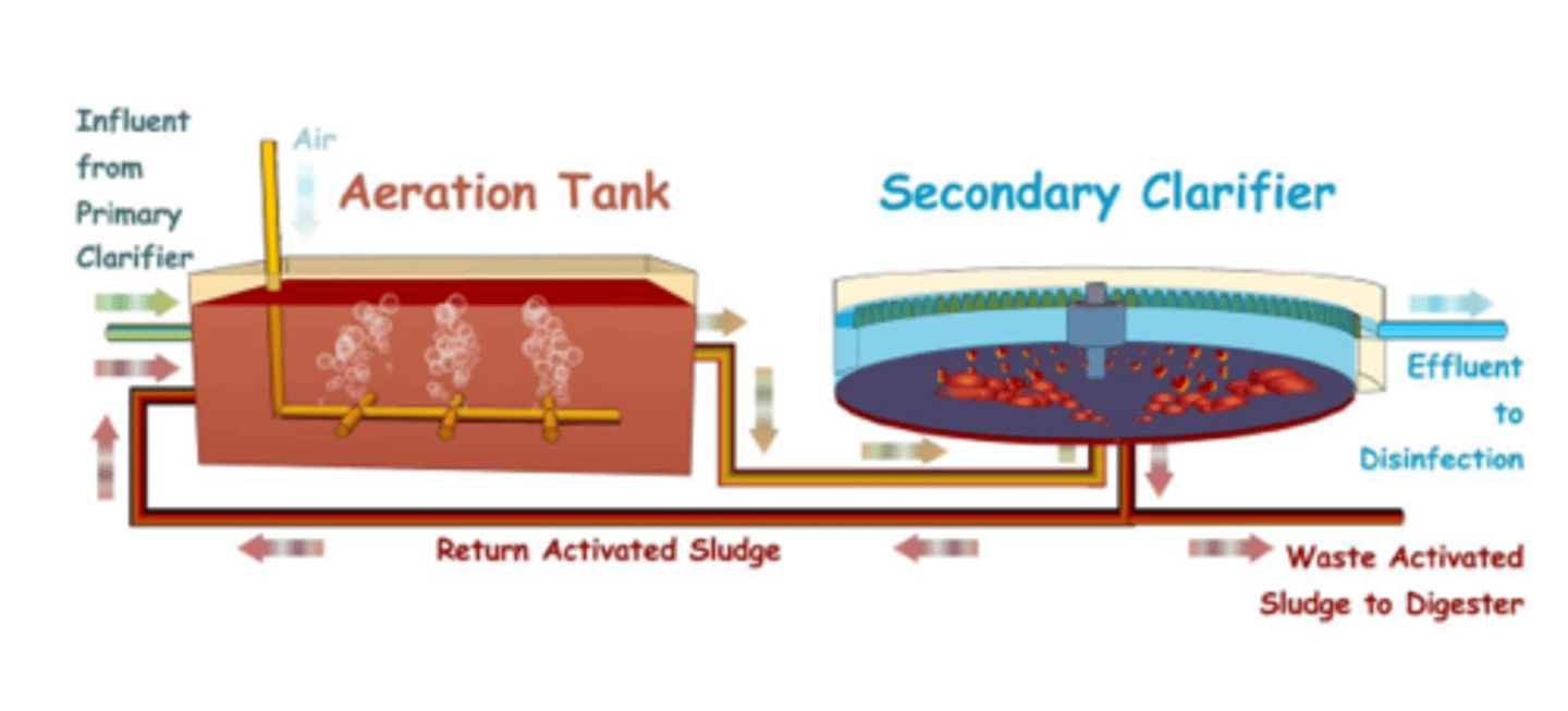 <p>The remaining organic matter in the fluid effluent is broken down by bacteria</p><p>Shortage of oxygen can be a limiting factor as it slows down this aerobic process</p><p>To prevent this happening, large amounts of air are mixed in by paddle wheels, or air stones</p>