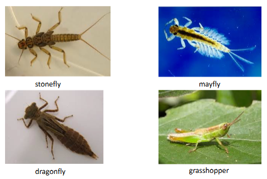 <p>What is this?</p>