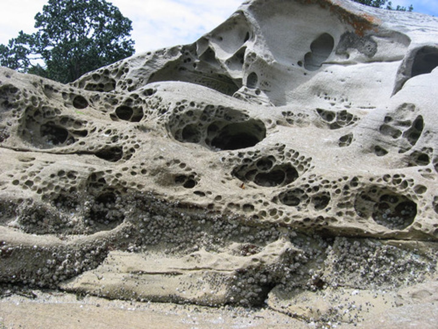 <p>pores, holes or spaces in rock or soil that allow water to pass through</p>