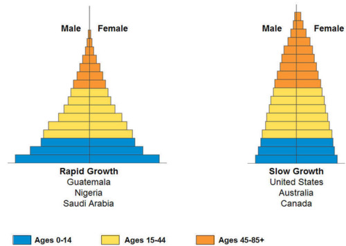 broad base → rapid growth; narrow base → negative growth (NPG); uniform shape → zero growth (ZPG)