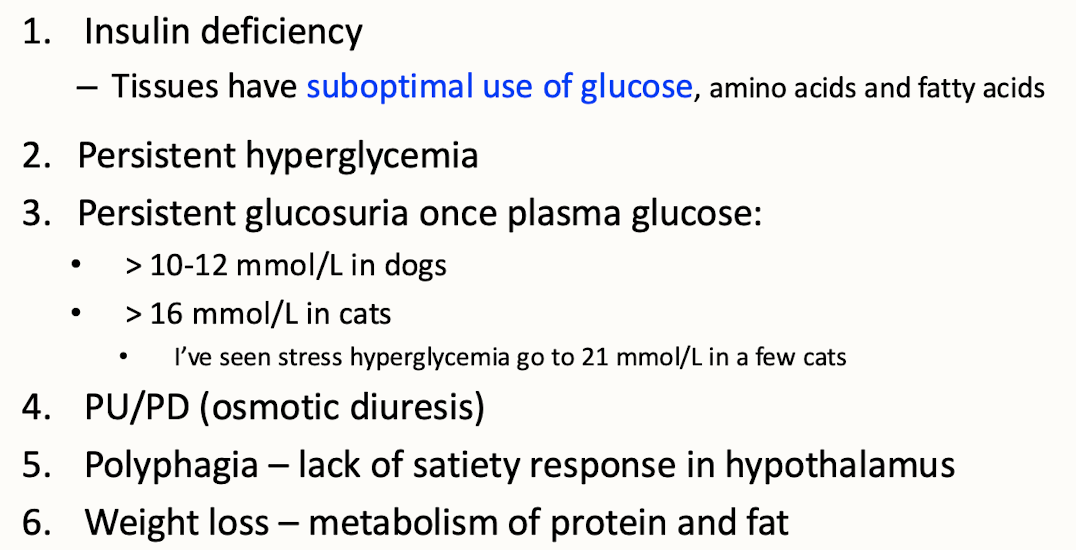 <p>Insulin dependent diabetes mellitus, also known as Type I diabetes, results from the autoimmune destruction of pancreatic β cells, leading to insufficient insulin production and persistent hyperglycemia. </p>
