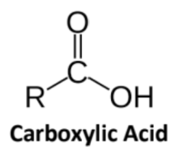 <p><span style="background-color: transparent;"><span>The highest priority functional group because it contains 3 bonds to oxygen</span></span></p><ul><li><p>Suffix “-ioc acid”</p></li></ul><p></p>