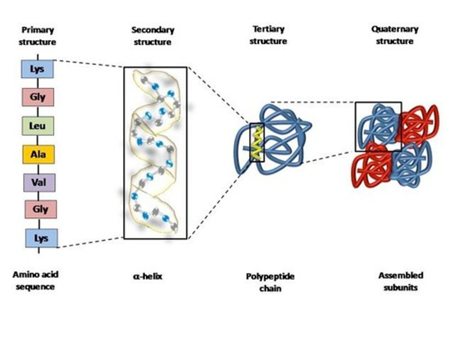 <p>Levels: primary, secondary, tertiary, quaternary.</p>