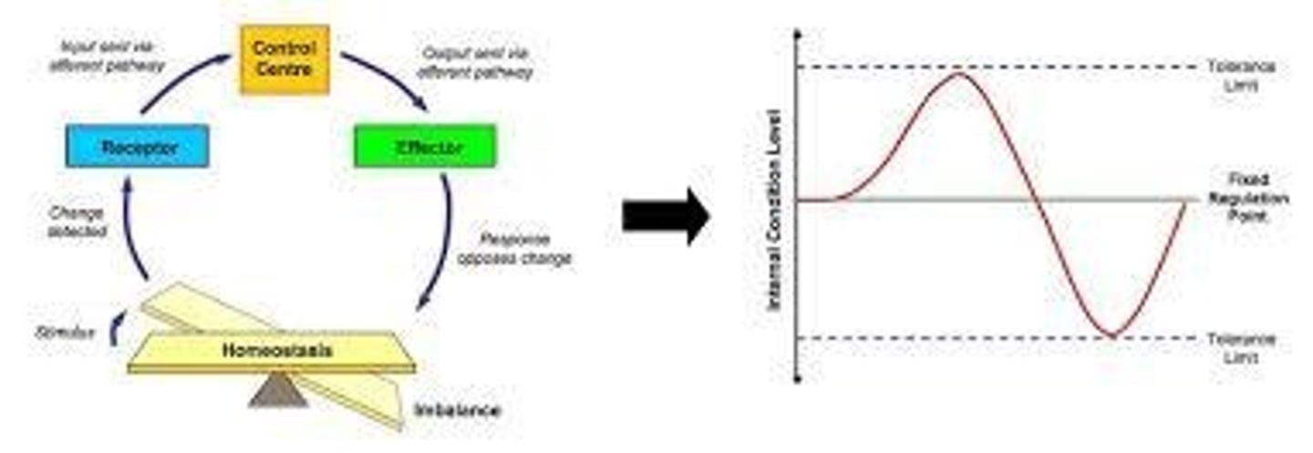 <p>Amplify a change.</p>