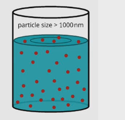 <ul><li><p>Investing organic material suspended in fluid</p></li><li><p>Larger particles</p></li><li><p>Filter to remove food particles from water</p></li></ul><p></p>