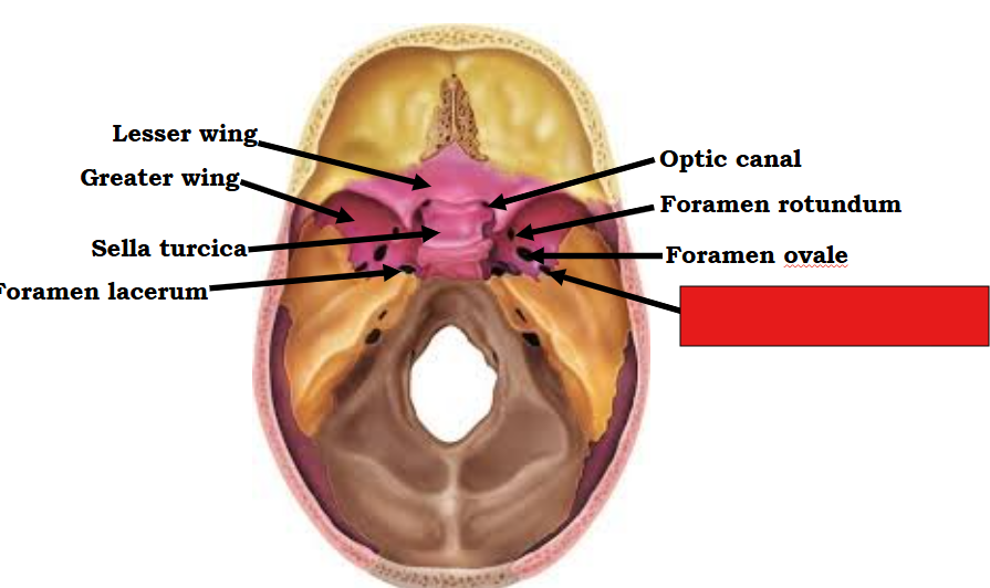 <p>Fill in the red box:</p>