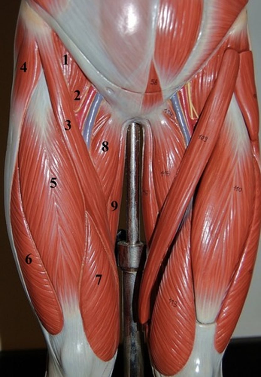 <p>3-</p>
