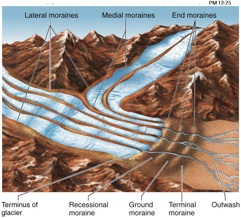 <p>Explain the process of how moraine is formed</p>
