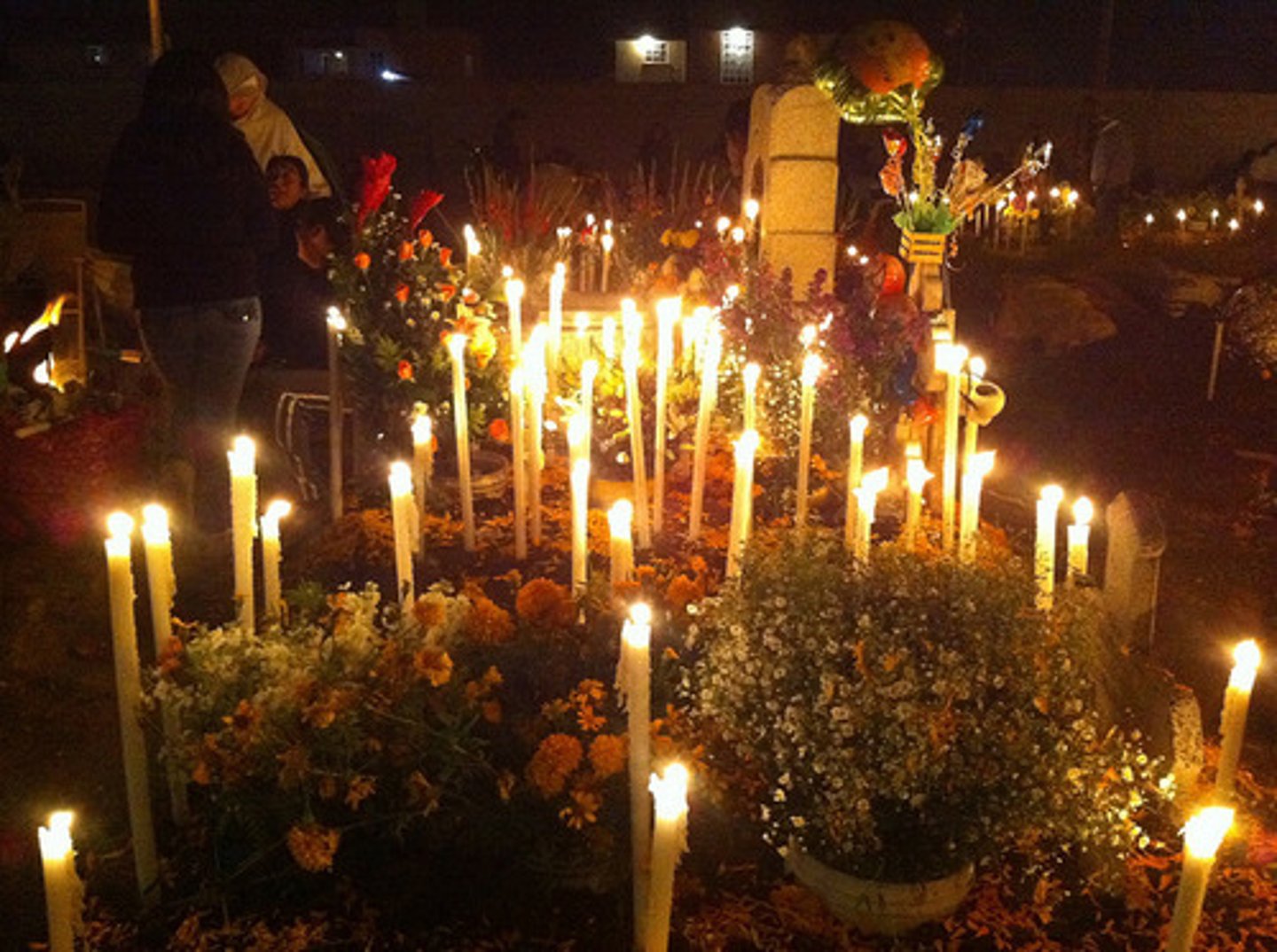 <p>la iluminación</p>