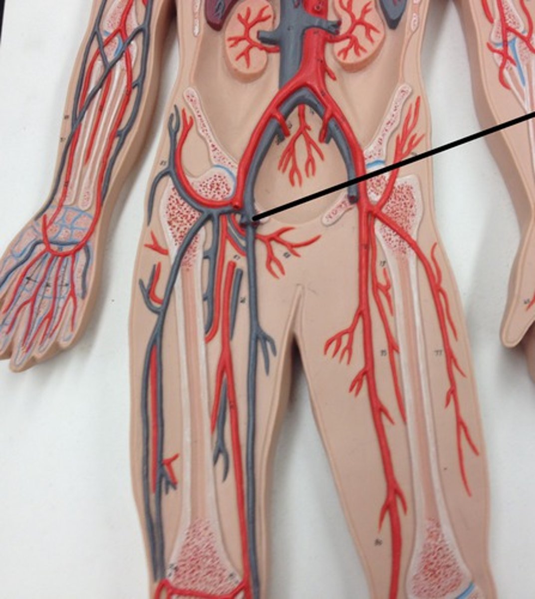 <p>What structure?</p>