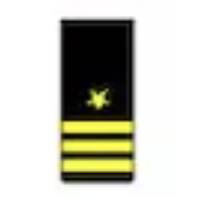 <p>Three gold 1/2-inch stripes below a gold five pointed star (O5)</p>