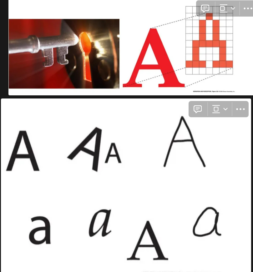 <ul><li><p><strong>says that we hold a sample template of objects in our memories, and so exemplar methods allow for matching new stimuli to existing examples, or prototypes, in their memory</strong></p></li><li><p>“Lock-and- key” representations</p><ul><li><p>Object that you perceive (key) stuff stored in memory (lock). When key goes in lock, you preform recognition</p></li><li><p>However only one key works for each lock (template would not work only work for different object but also different versions of one object or letter. The fonts below of would not be recognized by the pixel lock and key) sooo….</p></li></ul></li><li><p>Problem: You would need too many templates!</p><ul><li><p>Not practical</p></li></ul></li></ul><p></p>
