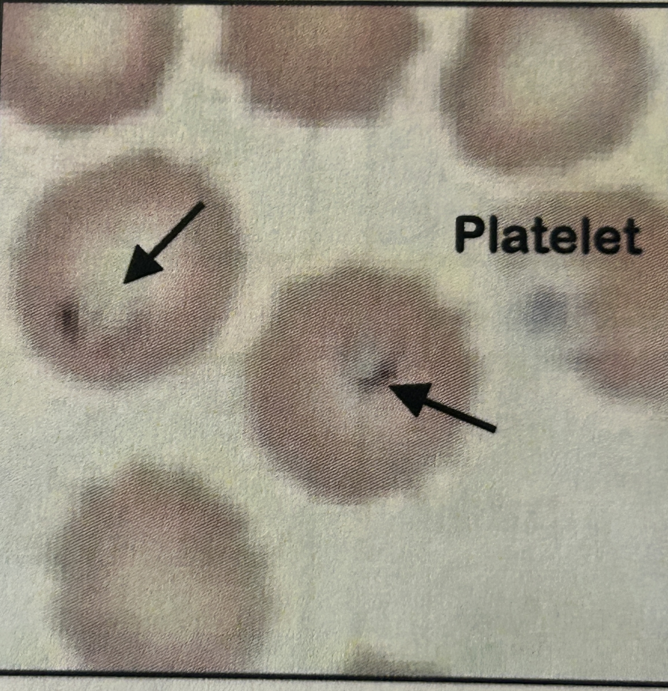 <p>?</p>