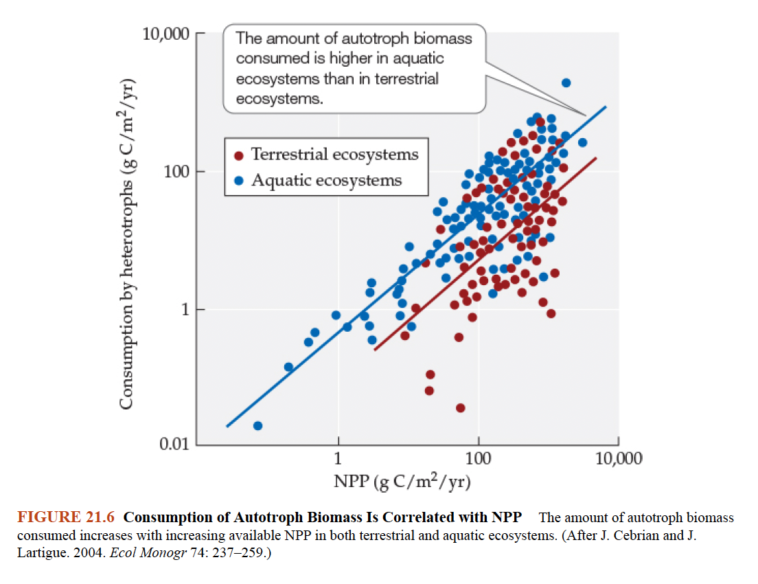 <p>What does Figure 21.6 demonstrate about NPP and herbivore consumption?<br></p>