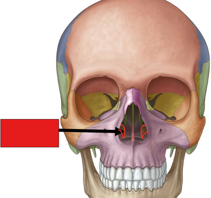 <p>fill in the red box:</p>