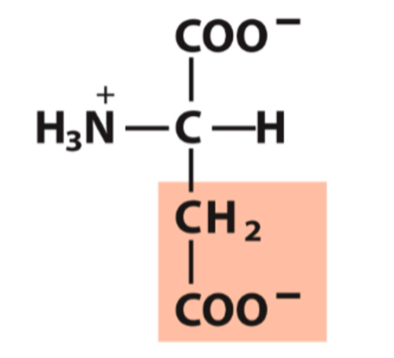 <p>What amino acid is this?</p>