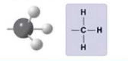 <p>Methyl</p>
