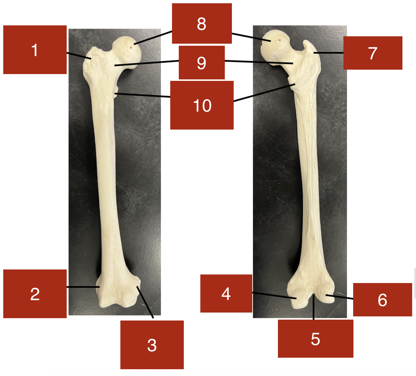 <p>4</p>