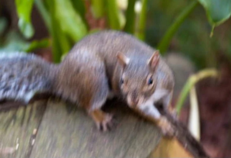 <p>If you take a photo and it has unwanted motion blur what setting do you change to fix the issue</p><p class="has-focus"></p>