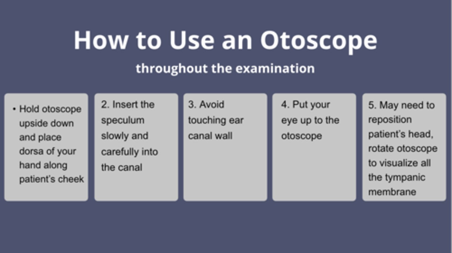 <p>How to use: largest speculum, tilt pt head away from you, pull up and back with adults and kids older than 3</p><p>- Hold upside down and side of your hand along pt cheek</p><p>- Insert slowly and carefully into canal</p><p>- Avoid touching ear canal wall</p><p>- Put your eye up to otoscope</p><p>- May need to move pt head or otoscope to see all of tympanic membrane</p><p>What are we looking for? Inspecting external canal AND Inspect tympanic membrane</p>