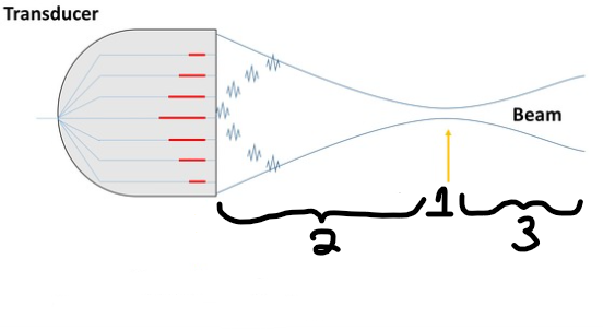 <p>Label the diagram. Provide 3 different terms for #2 and 2 different terms for #3.</p>