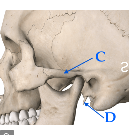 <p>What’s D?</p>