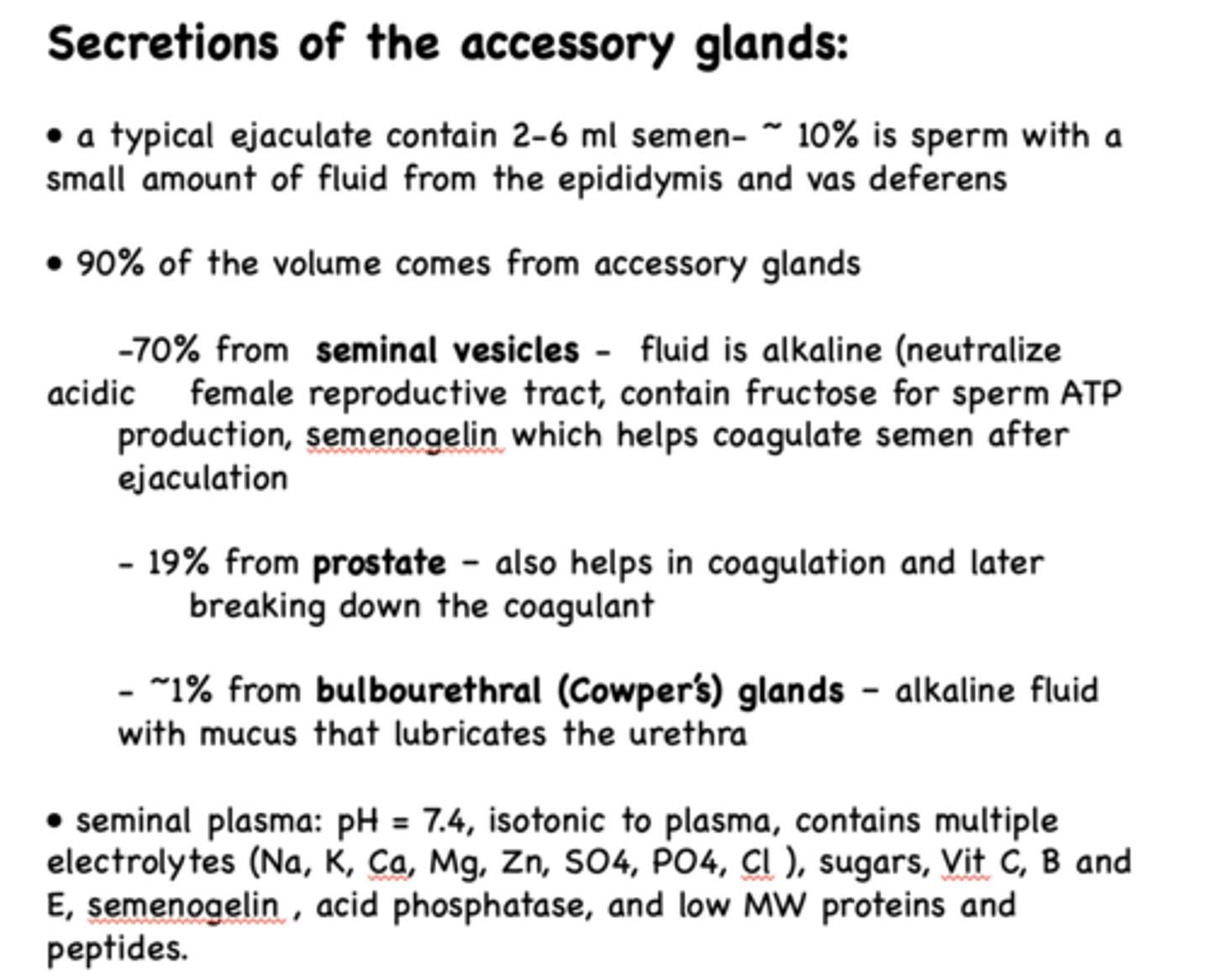 <p>seminal vesicles</p>