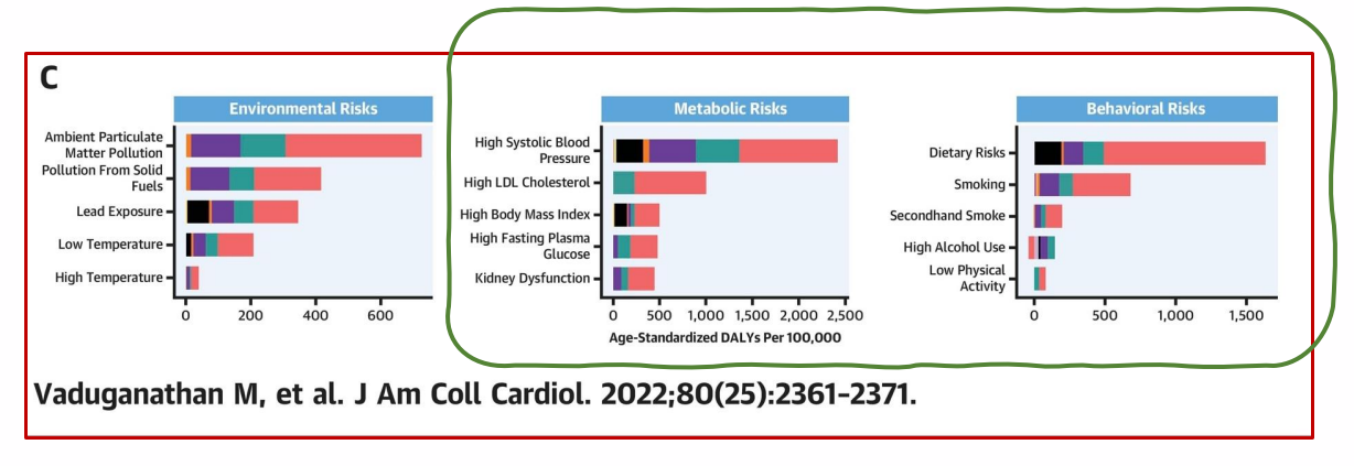 <p>Risk factors for CVD</p>