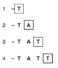 <p>electrophoresis;</p><p>(negatively-charged DNA) moves towards, positive electrode / anode;</p><p>smallest/smaller (fragments) move, fastest/ faster;</p>