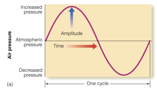 <p>Occurs when changes in air pressure occur in a pattern described by a mathematical function called a sine wave</p><ul><li><p>Occasionally found in the environment (e.g. tuning forks), but are primarily generated by computers for lab studies<span> </span></p></li></ul>