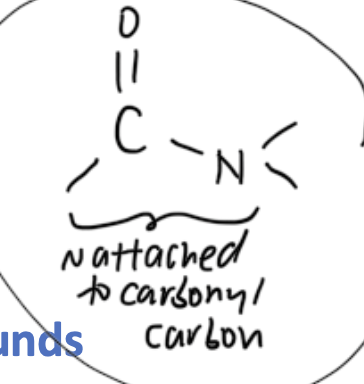 <ul><li><p>org compounds with amide functional grp (-CONH-) where N attached to carbonyl C</p></li><li><p>R — CONH2</p></li><li><p>smallest primary amide has functional grp = -CONH<sub>2</sub></p></li></ul><p></p>