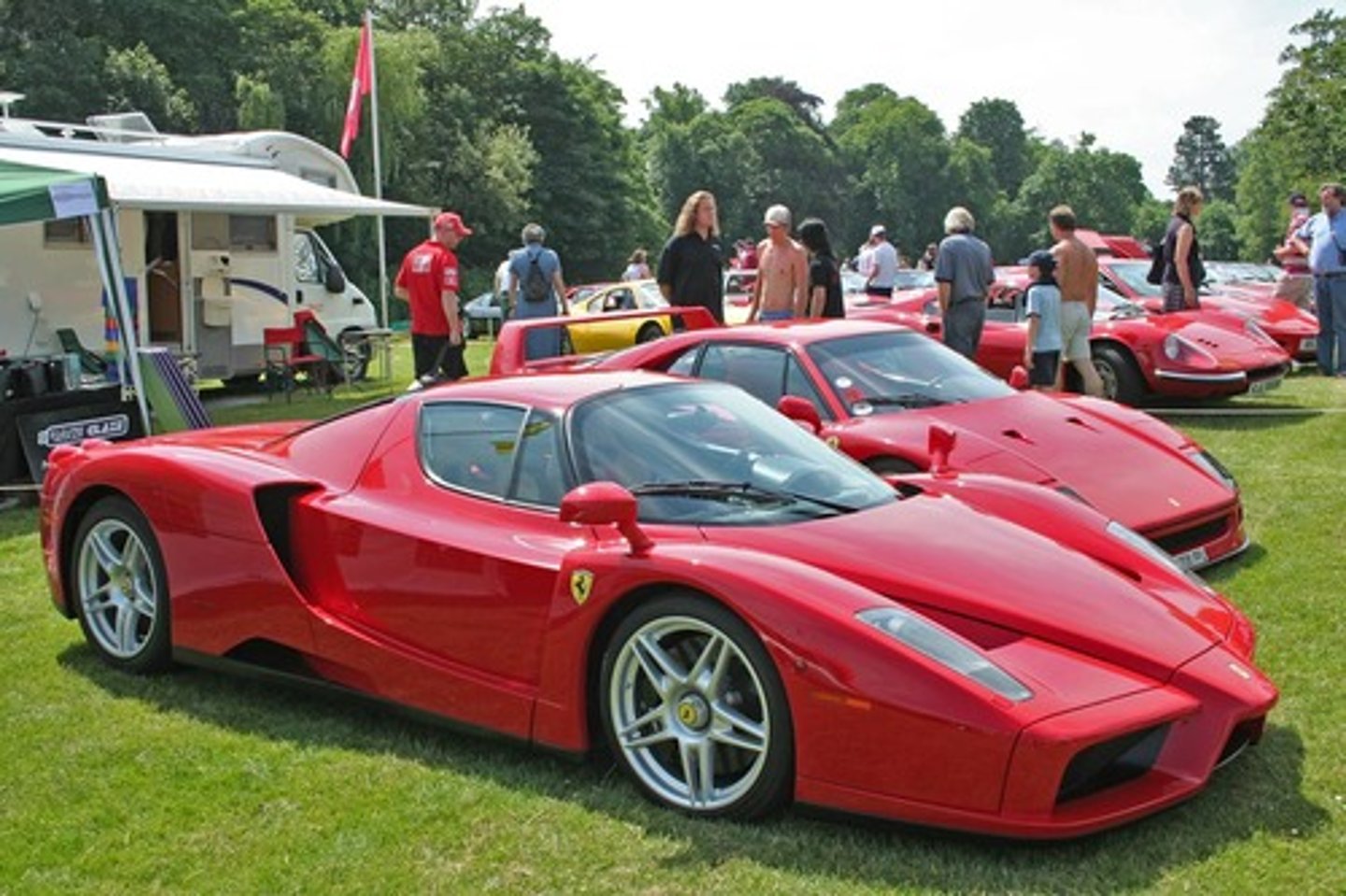 <p>the car</p>